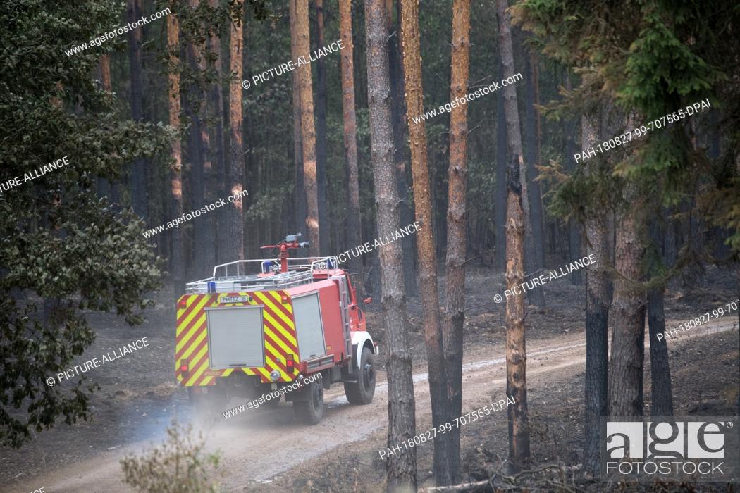Stock Photo: 27 August 2018, Treuenbrietzen, Germany: A fire engine of the fire brigade drives through a burnt forest near Treuenbrietzen.