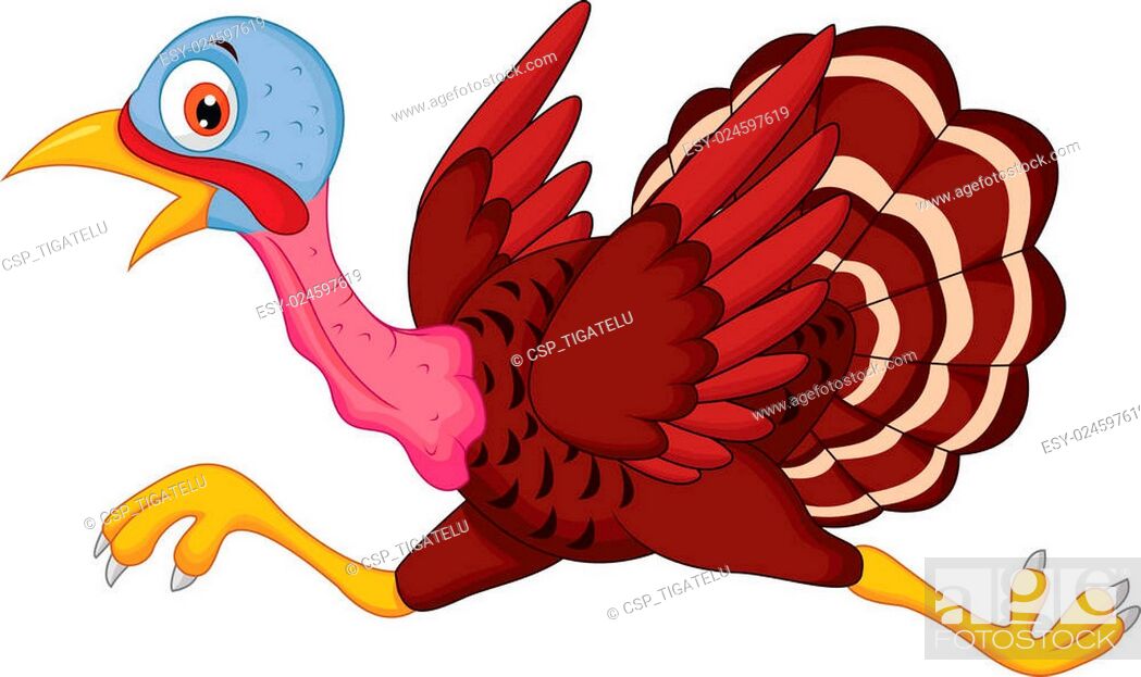Cartoon turkey running, Stock Vector, Vector And Low Budget Royalty Free  Image. Pic. ESY-024597619 | agefotostock