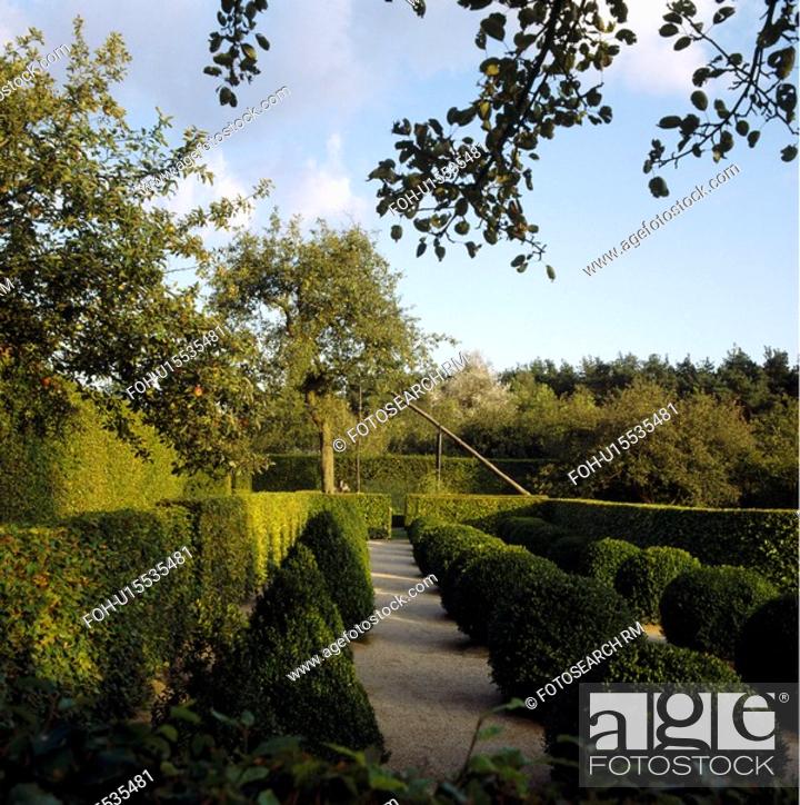 Photo de stock: Clipped hedges in formal country garden in summer.