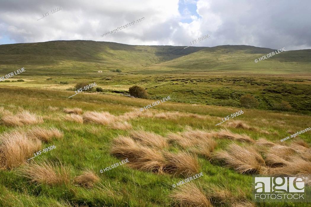 Stock Photo: Grasses & Farmhouse, Glengesh Pass, County Donegal, Ireland.