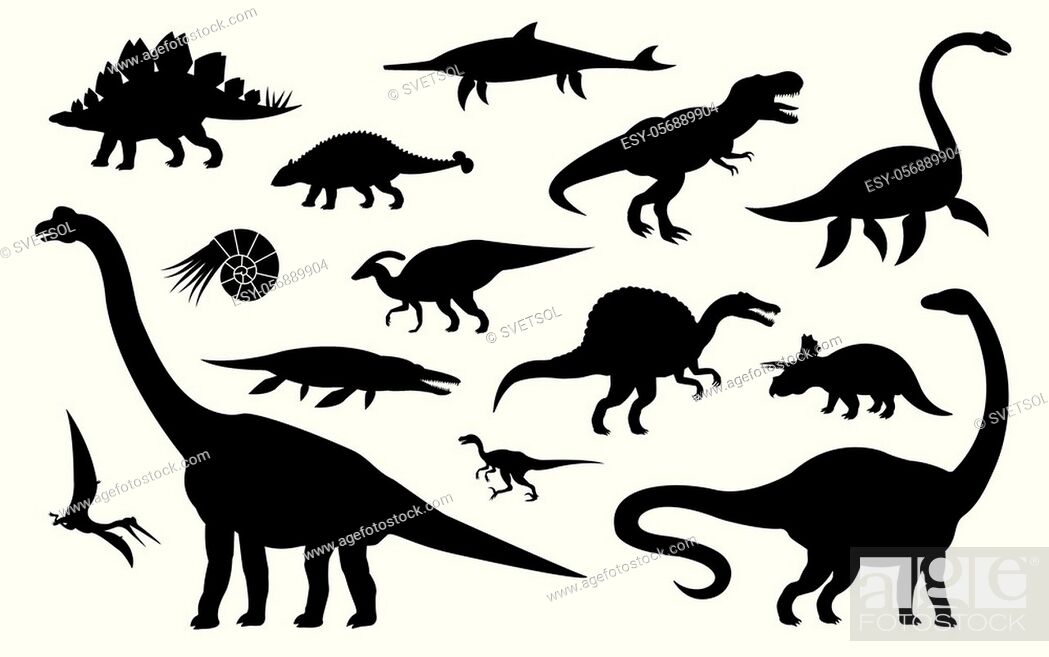Stock Vector: Vector set collection of different black dinosaur silhouette isolated on white background.