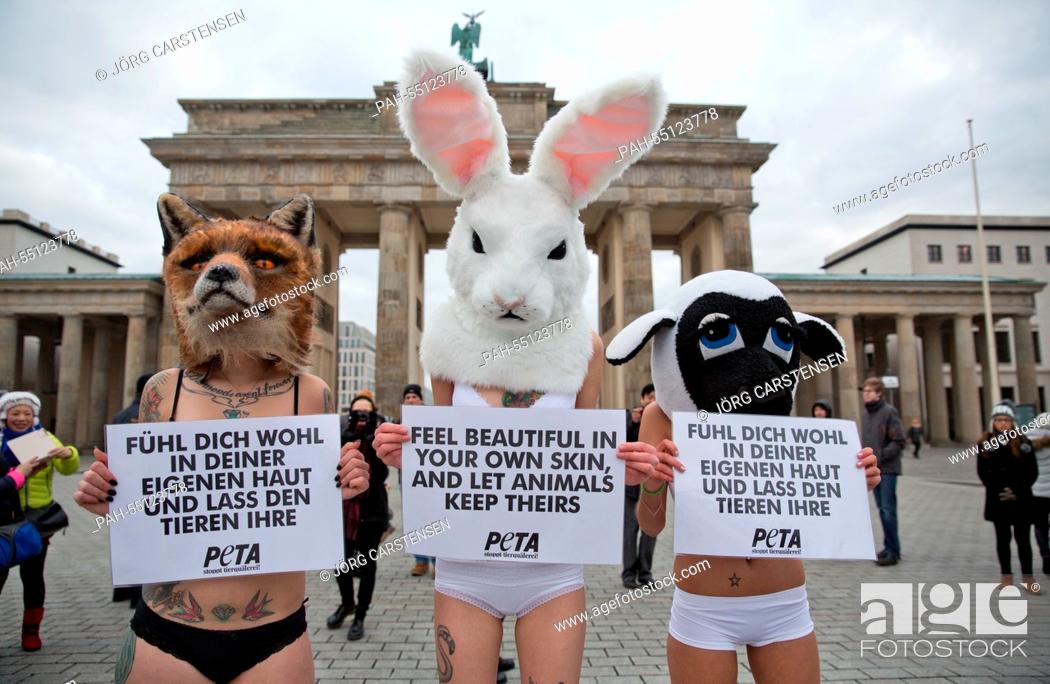 Activists of animal rights group PETA wear animal hat which depict a fox,  Stock Photo, Picture And Rights Managed Image. Pic. PAH-55123778 |  agefotostock
