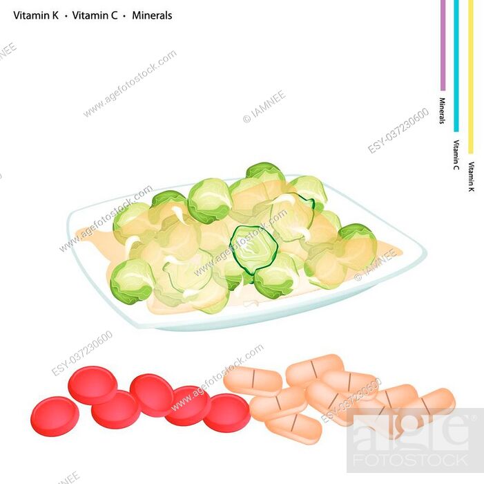 Stock Vector: Healthcare Concept, Illustration of Stir Fried Brussels Sprout with Vitamin K, Vitamin C and Minerals Tablet, Essential Nutrient for Life.