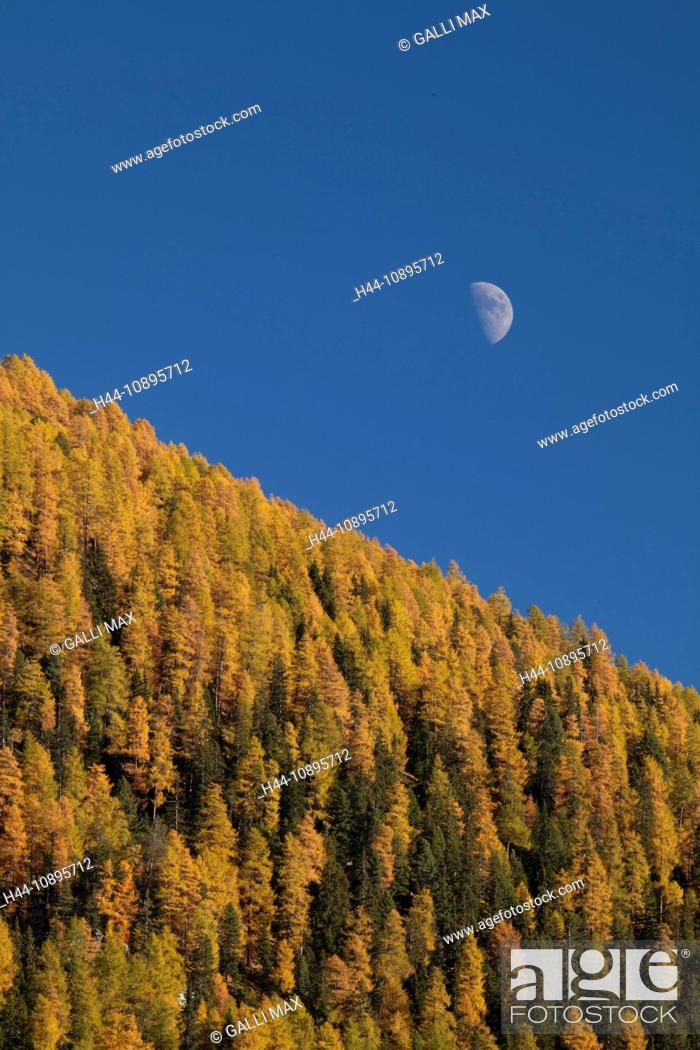 Stock Photo: Graubunden, Grisons, autumn mood, Switzerland, Europe, Sent, Unterengadin, Val Sinestra, Vna, Zuort.