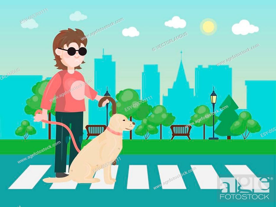 Blind man with guide dog on zebra crossing vector illustration, Stock  Vector, Vector And Low Budget Royalty Free Image. Pic. ESY-055703111 |  agefotostock
