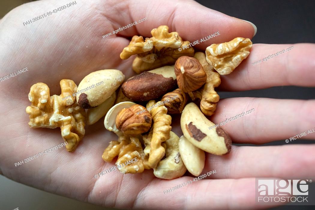 Stock Photo: 14 June 2020, Bavaria, Nuremberg: ILLUSTRATION - Hazelnut, Brazil nut, walnut, almond and cashew kernels are in one hand.