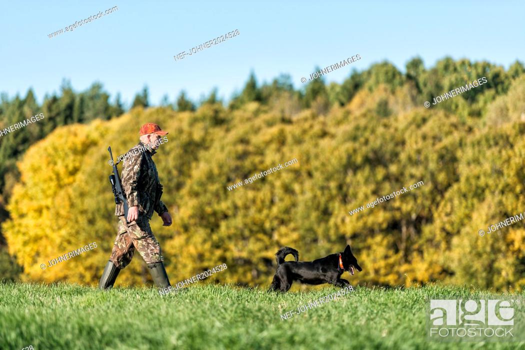 Stock Photo: Man hunting with dog.