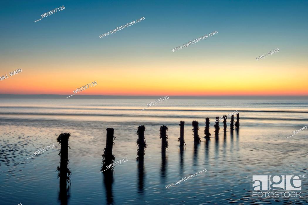 Imagen: Groynes, Brean Beach, Somerset, England, United Kingdom, Europe.