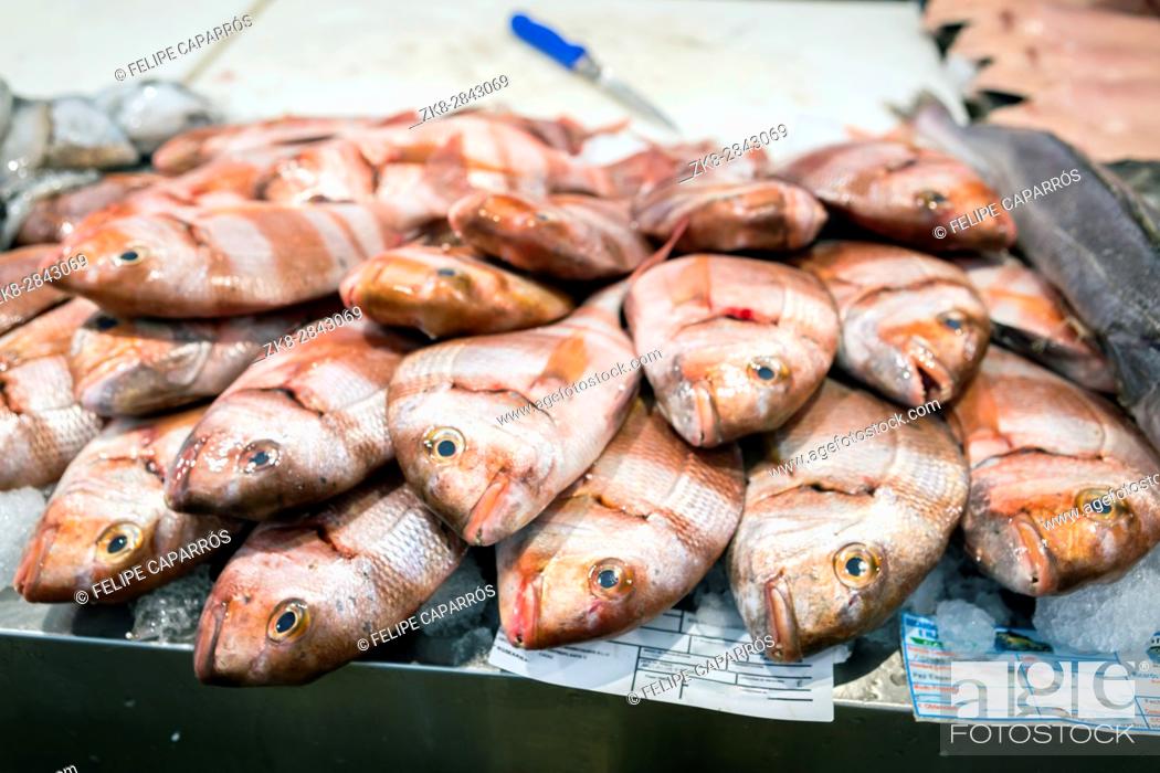 Stock Photo: Freshly caught fish at the fish market in Cadiz, Andalucia, Spain.
