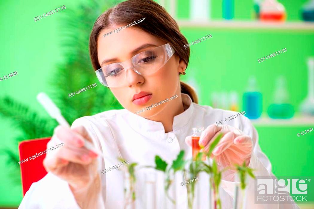 Stock Photo: Beautiful female biotechnology scientist chemist working in lab.