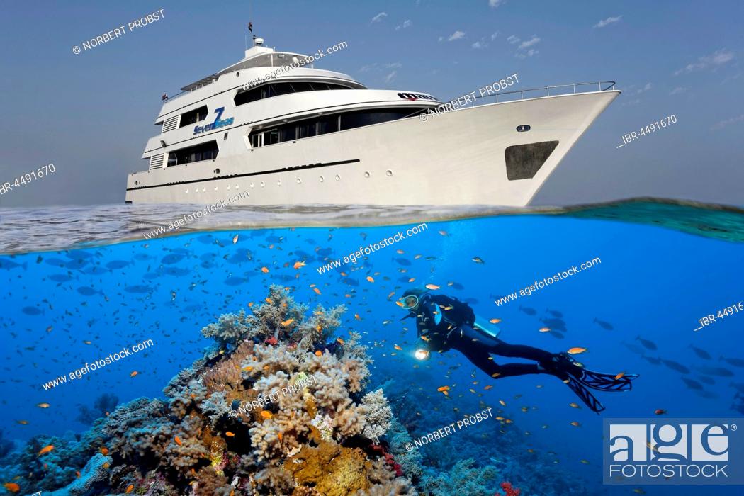 Stock Photo: Above: liveaboard, diving boat, Seven7Seas, down divers, coral reef, shoal of fish, Red Sea, Egypt.
