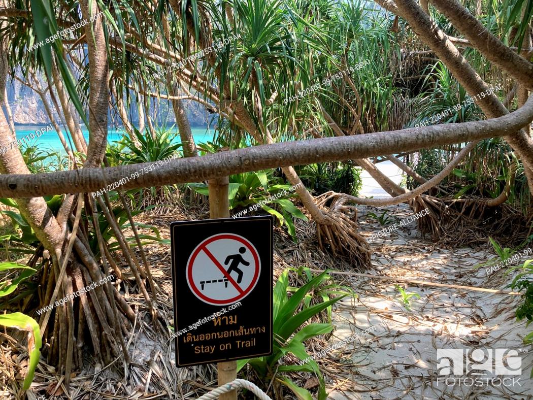 Stock Photo: PRODUCTION - 12 March 2022, Thailand, Ko Phi Phi Leh: Prohibition signs warn against leaving the paths. The rules for visiting the dream beach in southern.