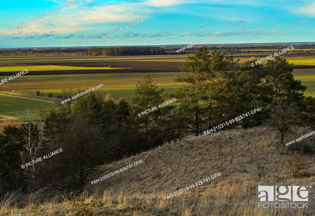 Stock Photo: 13 March 2021, Brandenburg, Mallnow: View from the slopes at the edge of the Oderbruch, a region in the east of the state of Brandenburg.