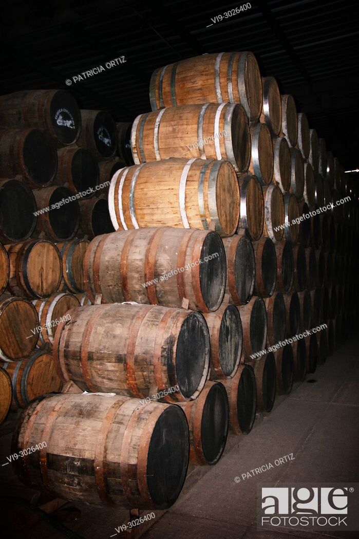 Stock Photo: Barrels at a Tequila Factory in Guanajuato, MEXICO.