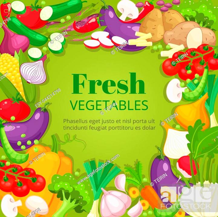 Vegetables top view frame. Farmers market menu design. Organic food poster,  Stock Vector, Vector And Low Budget Royalty Free Image. Pic. ESY-044214798  | agefotostock