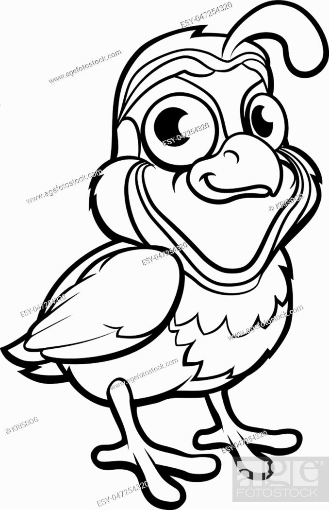 A quail bird cute cartoon character outline coloring illustration, Stock  Vector, Vector And Low Budget Royalty Free Image. Pic. ESY-047254320 |  agefotostock