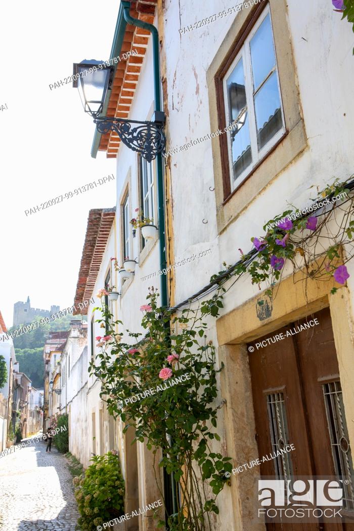 Stock Photo: PRODUCTION - 03 August 2022, Portugal, Tomar: Roses and showy vines grow on a house in an alley in the city center, at the end of which the Templar Castle can.
