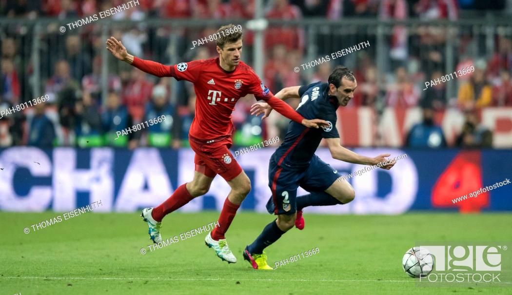 Stock Photo: Bayern Munich's Thomas Müller and Madrid's Diego Godin in action during the UEFA Champions League semi final soccer match FC Bayern Munich vs Atletico Madrid in.