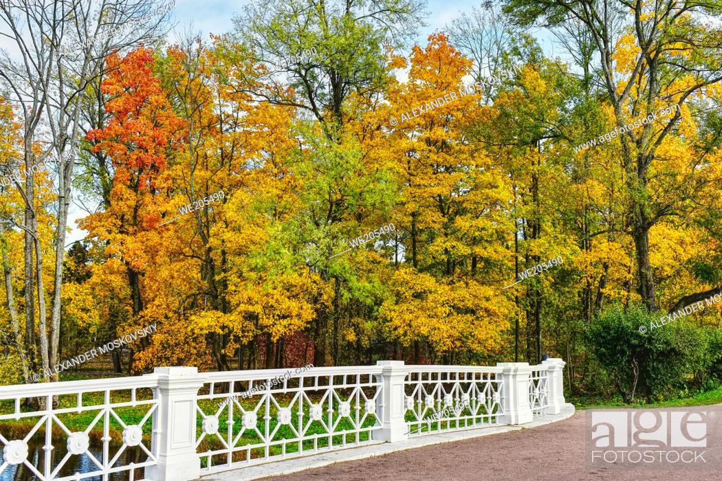 Stock Photo: Beautiful and tranquil Autumn landscape with bridge.