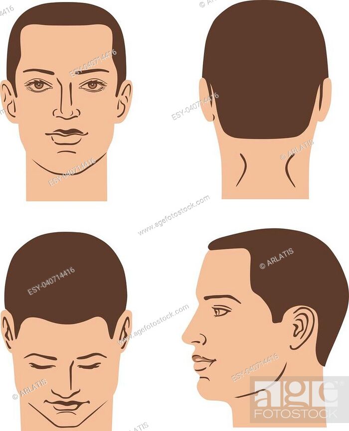 Man hairstyle head set (front, back, side views), vector illustration  isolated on white background, Stock Vector, Vector And Low Budget Royalty  Free Image. Pic. ESY-040714416 | agefotostock