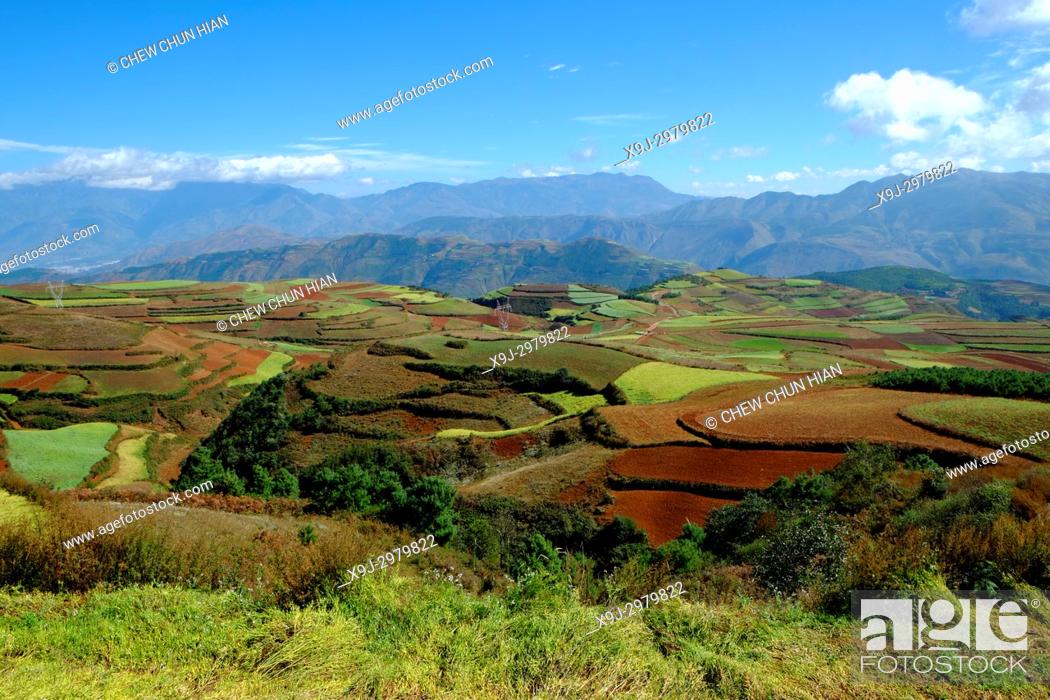 Stock Photo: Terrace cultivation, Red lands, Dongchuan District, Kunming municipality, Yunnan Province, China.