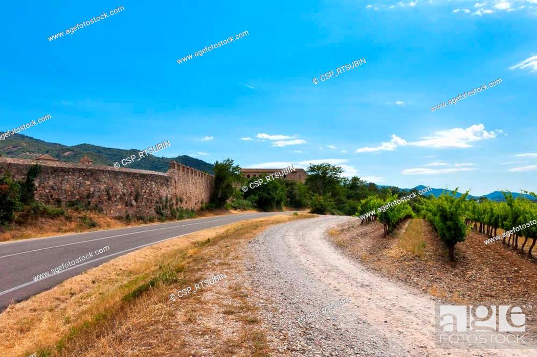 Stock Photo: grapes valley in spain.