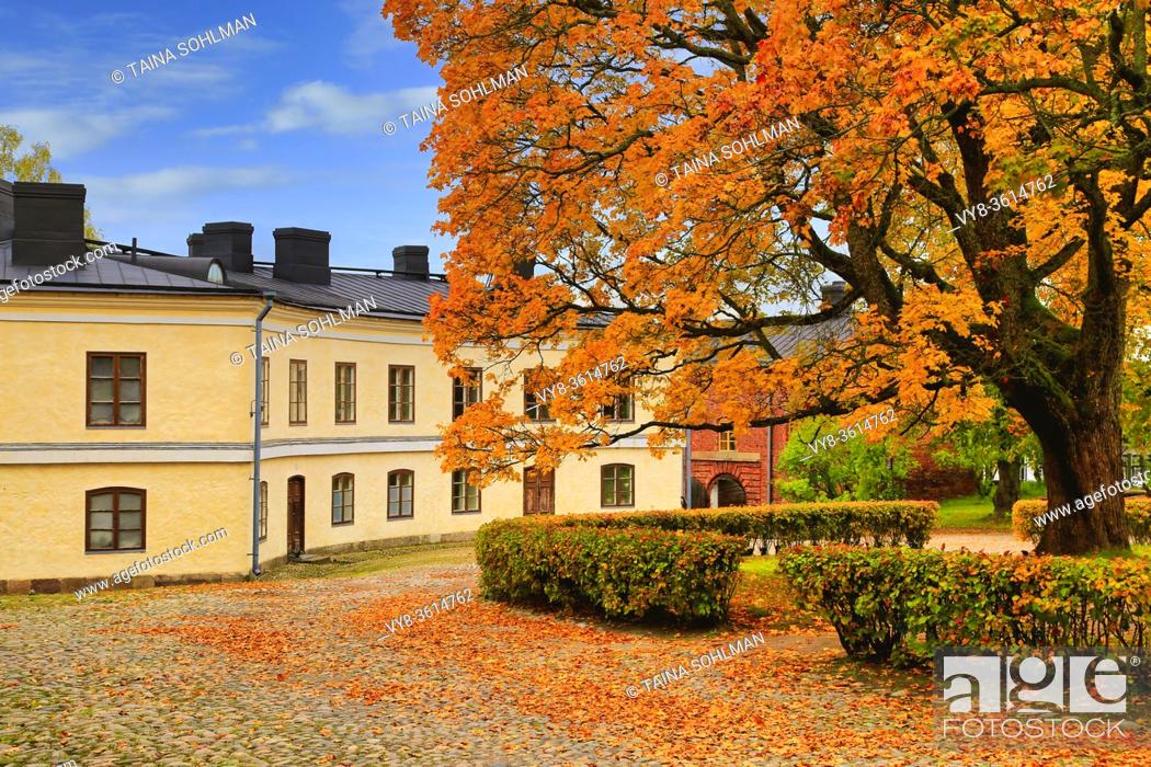 Stock Photo: Old buildings and yellow, big maple tree in Suomenlinna, Finland.