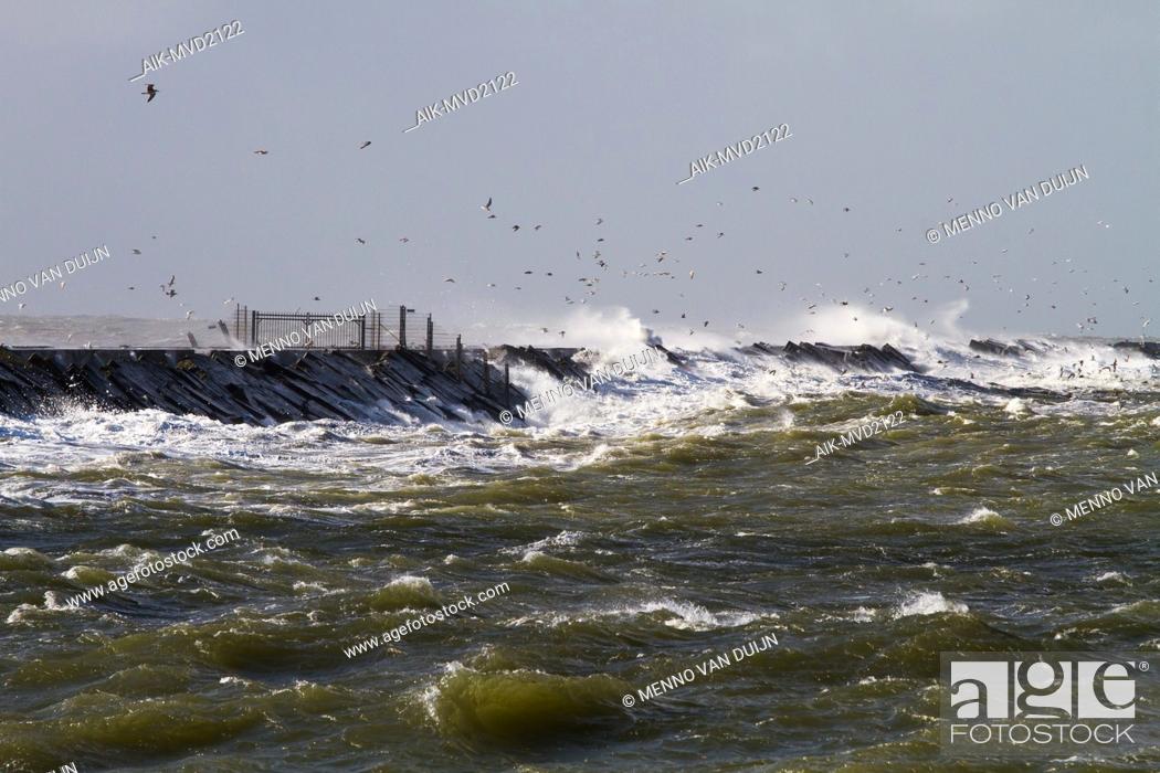 Stock Photo: Panoramic view of the Netherlands. Big waves crashing over the pier of Ijmuiden, Netherlands during severe storm over the North Sea.