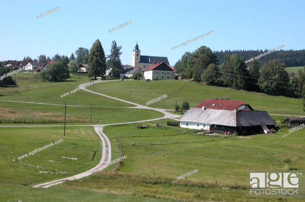 Stock Photo: Landscape with path Sandl Upper Austria.