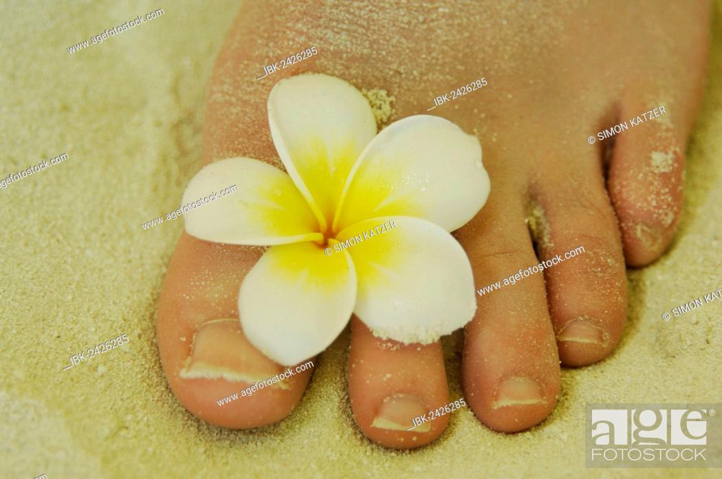 Stock Photo: Woman's foot in the sand, flower between her toes.