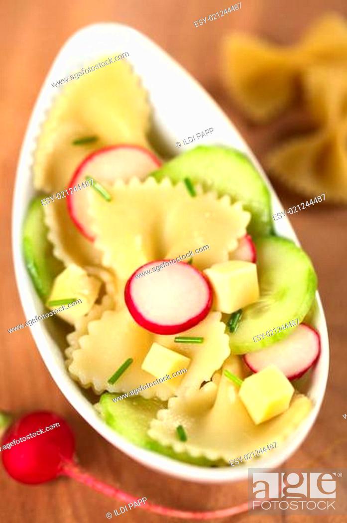 Stock Photo: Bow Tie Pasta Salad with Cucumber and Radish.