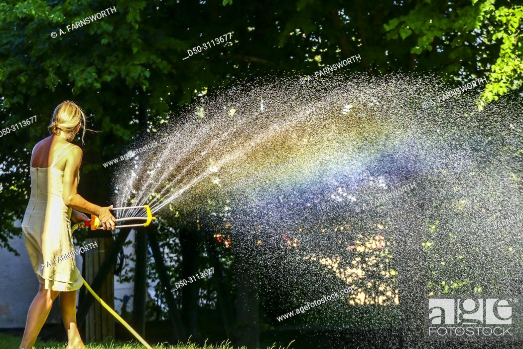 Stock Photo: A woman waters the grass with a hose in the Hagalund Park and apartment complex, Solna suburb. Stockholm, Sweden.