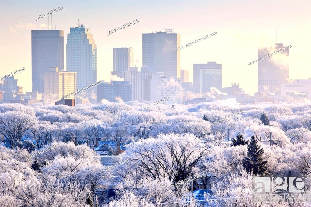 Stock Photo: Winnipeg skyline and hoar frost covered trees, on a winter day. Winnipeg, Manitoba, Canada.