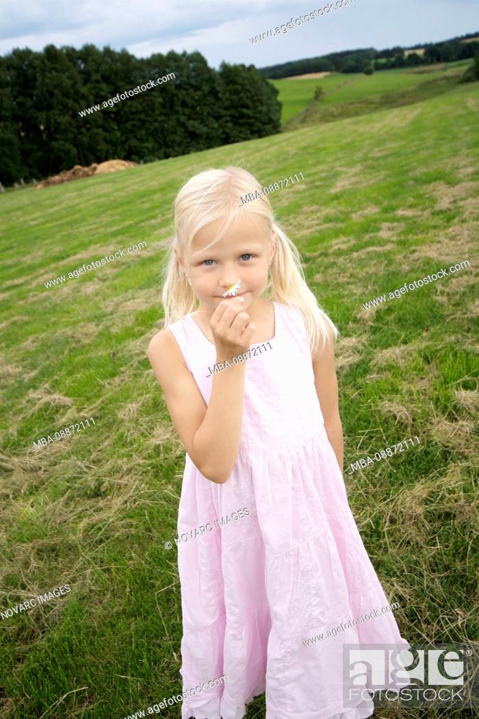Stock Photo: Girl smelling a flower in summer, Kid, Kids, Eyendorf, Lower Saxony, Germany, Europe.