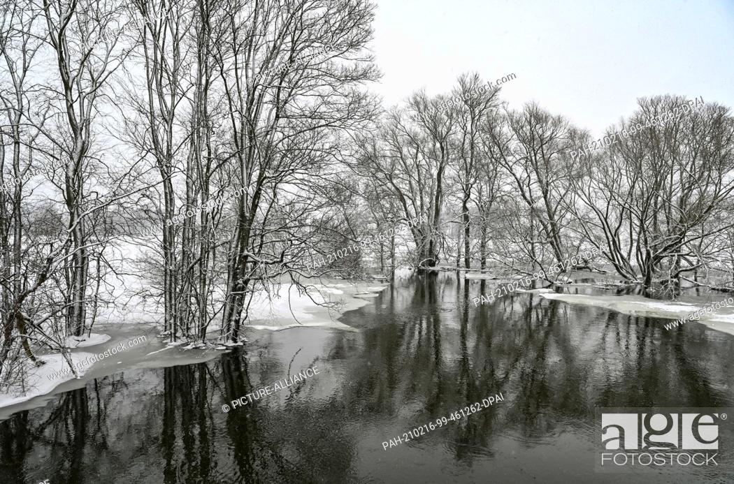 Stock Photo: 16 February 2021, Brandenburg, Schwedt: Flood water from the German-Polish border river Oder flows into a polder area in the Lower Oder Valley National Park.