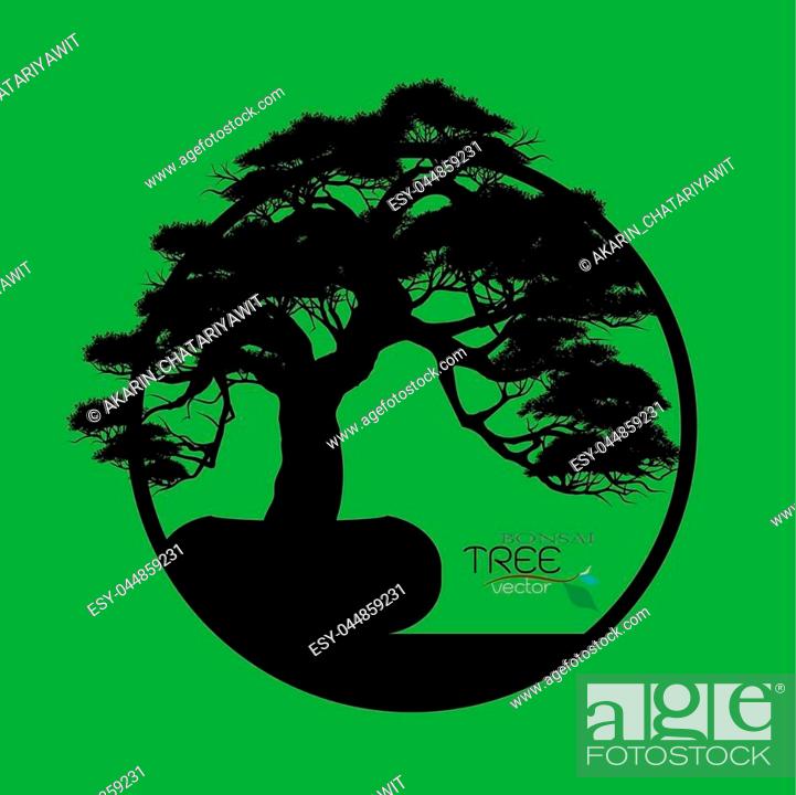 Japanese Bonsai Tree Black Silhouette Of Bonsai Detailed Image Vector Stock Vector Vector And Low Budget Royalty Free Image Pic Esy 044859231 Agefotostock