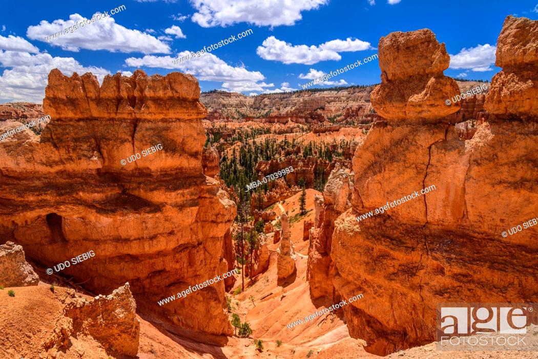Stock Photo: USA, Utah, Garfield County, Bryce Canyon National Park, Amphitheater, Queens Garden, View from the Queens Garden Trail.