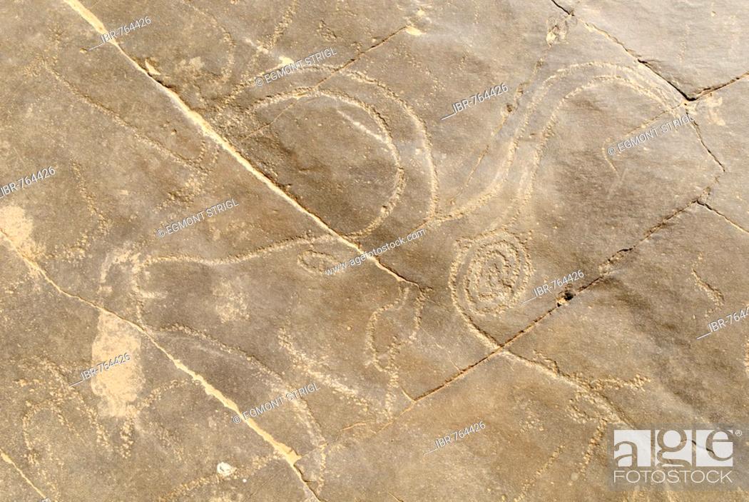 Stock Photo: Prehistoric rock carving, bull, La Dalle, Tin Tarabine, Tassili du Hoggar, Wilaya Tamanrasset, Algeria, Sahara, North Africa.