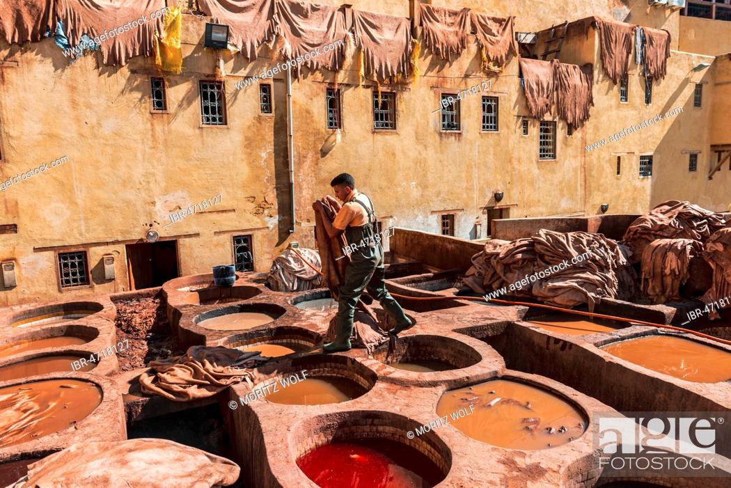 Stock Photo: Worker dyeing leather, basin with paint, dyeing, tannery Tannerie Chouara, tanner and dyer quarter, Fes el Bali, Fes, Morocco, Africa.