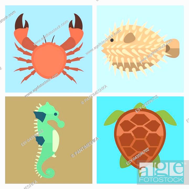 Vector set of cute sea animals creatures characters. Cartoon ocean  underwater aquarium life water..., Stock Vector, Vector And Low Budget  Royalty Free Image. Pic. ESY-043596702 | agefotostock
