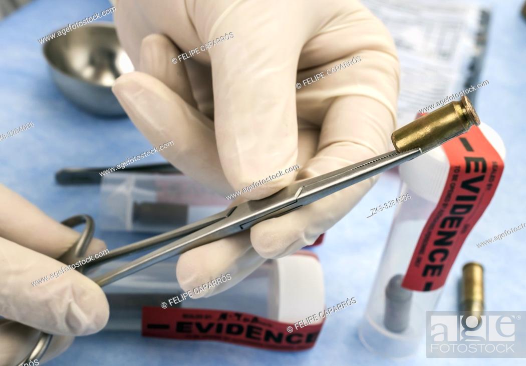 Stock Photo: Criminalistic Laboratory, Scientific police officer holds bullet tips with tweezers for ballistic analysis, conceptual image.
