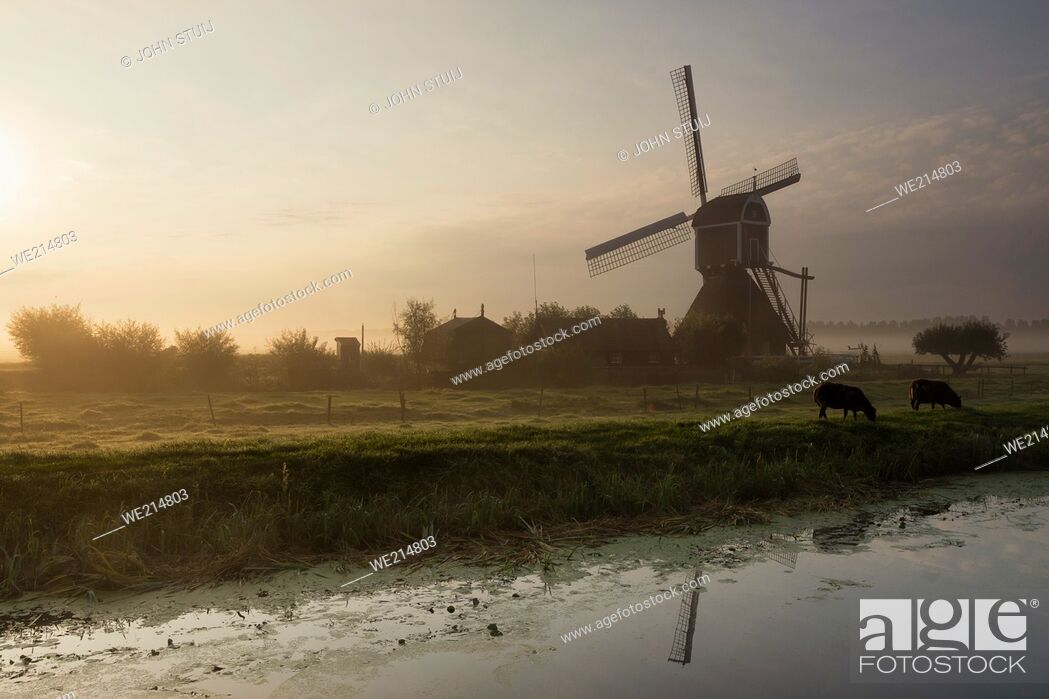 Imagen: Windmill the Wingerdse Molen near Bleskensgraaf in the Dutch region Alblasserwaard.