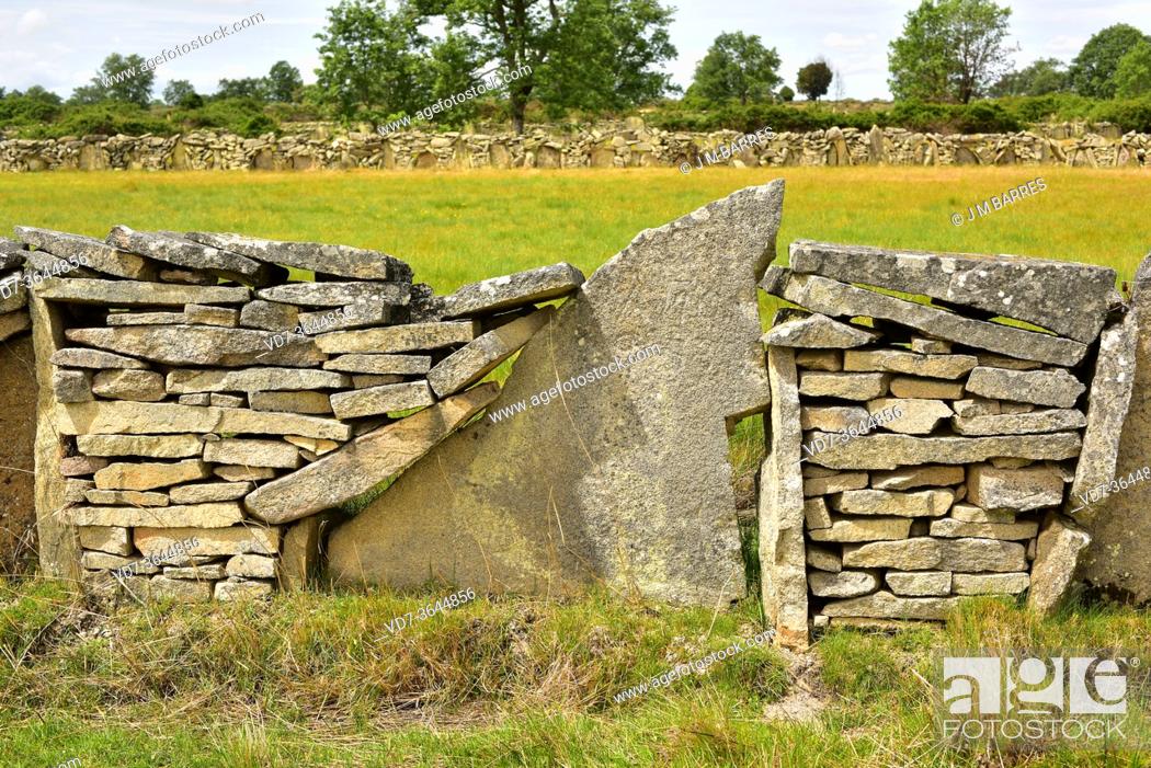 Stock Photo: Dry stone wall with field (cortina). Sayago, Zamora province, Castilla y Leon, Spain.