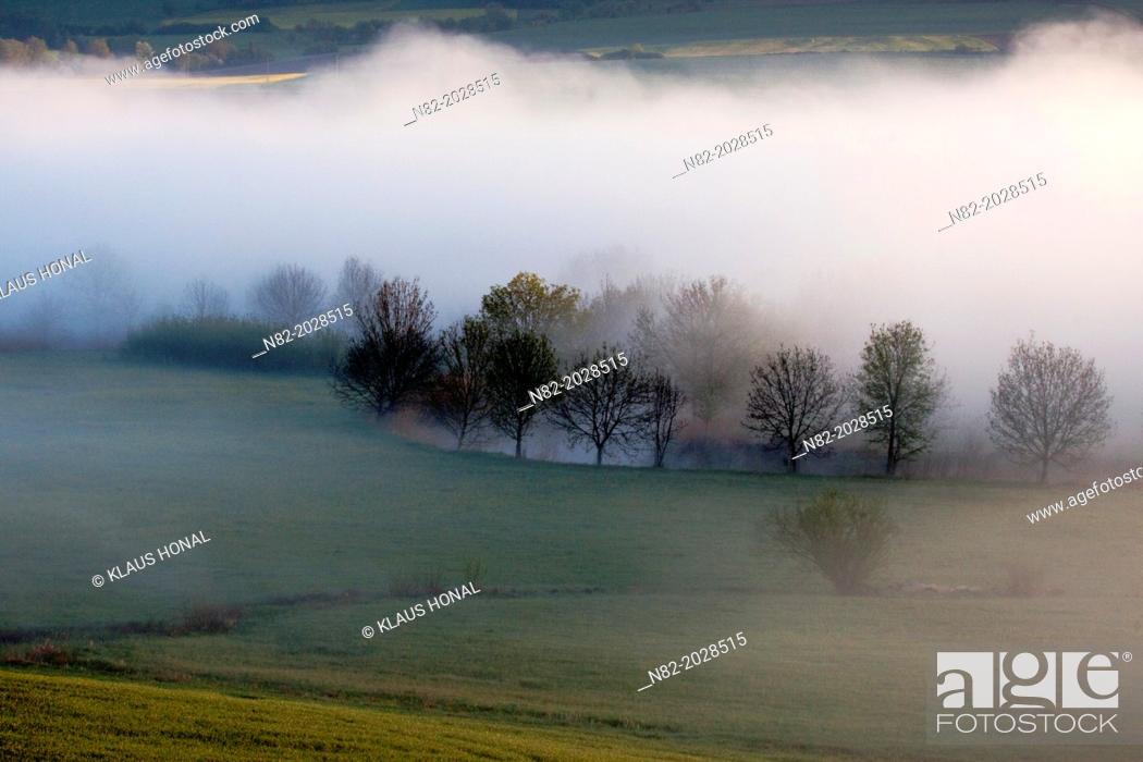 Stock Photo: Trees line the bank of the Wörnitz river in morning fog - Region Hesselberg, Bavaria/Germany.
