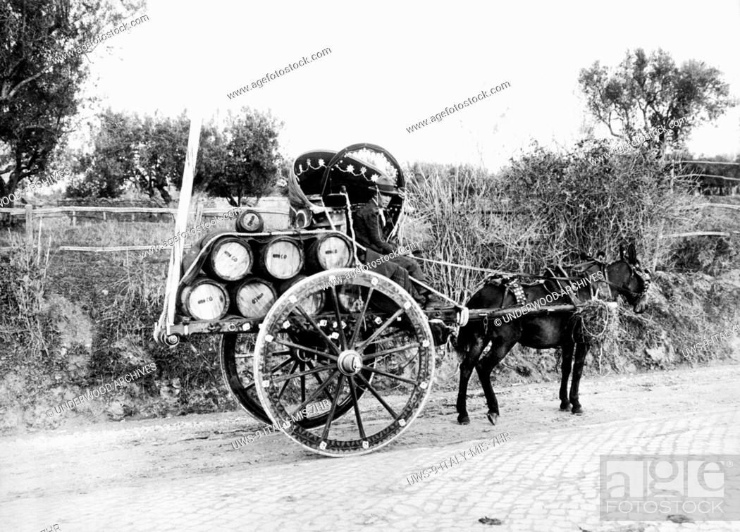 Stock Photo: Albano, Italy: January, 1934 A man in his highly decorated two wheeled cart carrying barrels of wine to town along the new Appian Road.