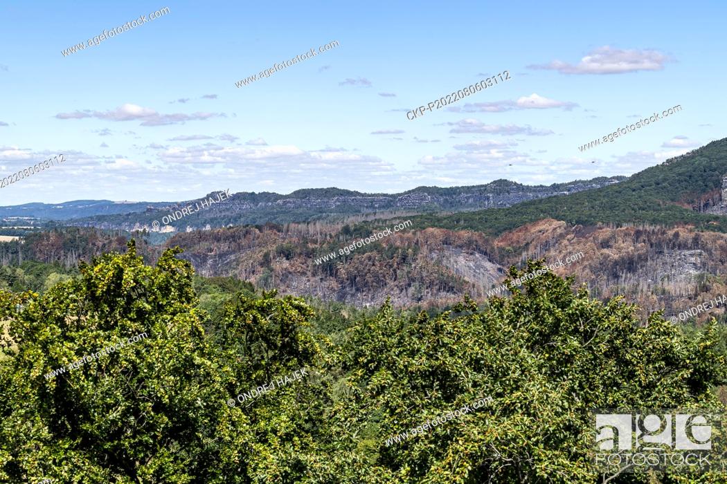 Stock Photo: A large forest fire in the Ceske Svycarsko (Czech Switzerland) National Park, near Hrensko, Czech Republic, on August 6, 2022.