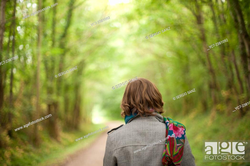 Stock Photo: walk in the forest, Malicornay.