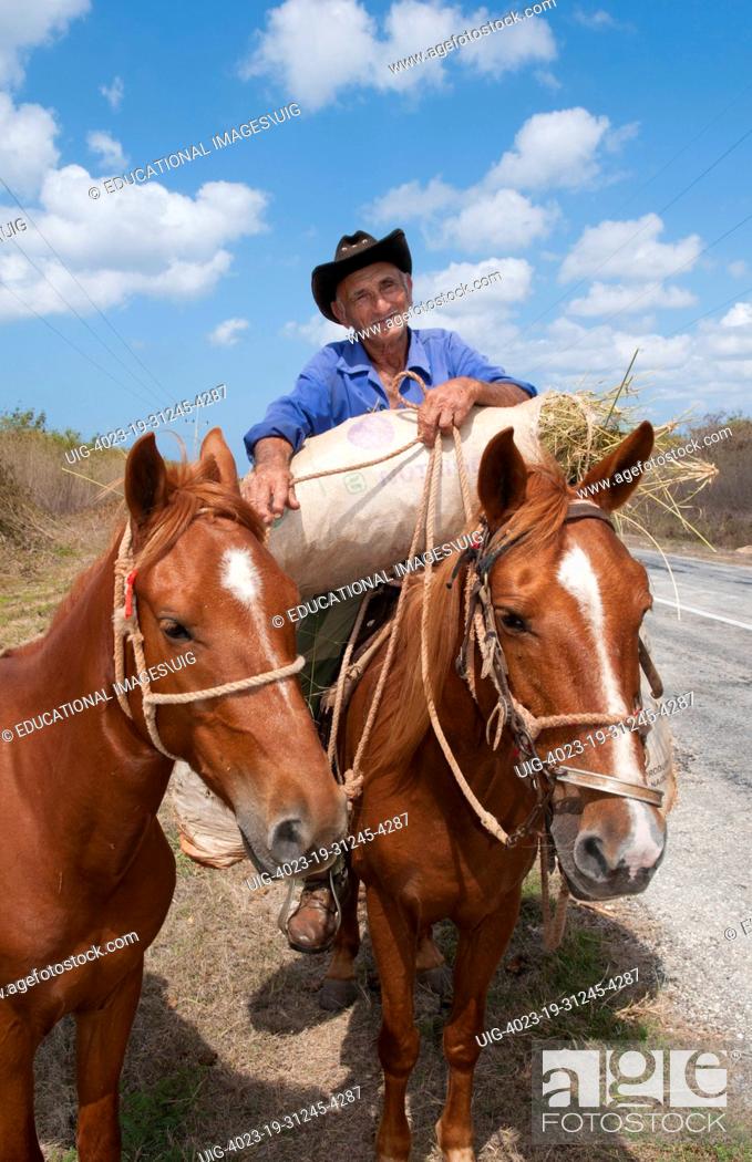 Imagen: Cuba Cienfuegos old man cowboy portrait with oxen on side of road.