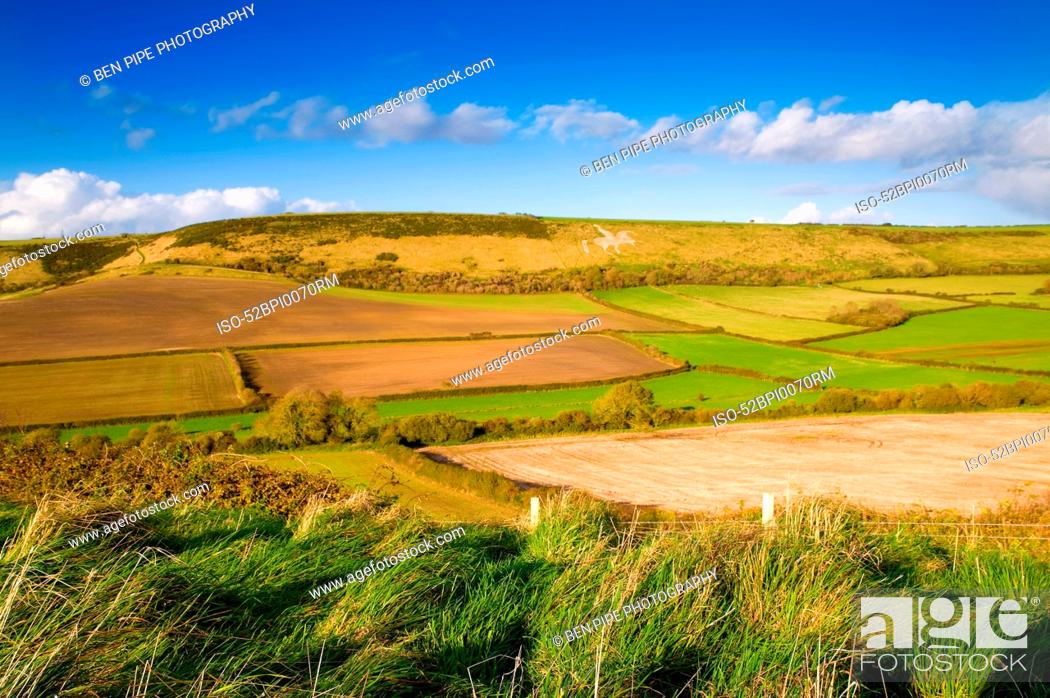 Stock Photo: Fields in rural landscape.