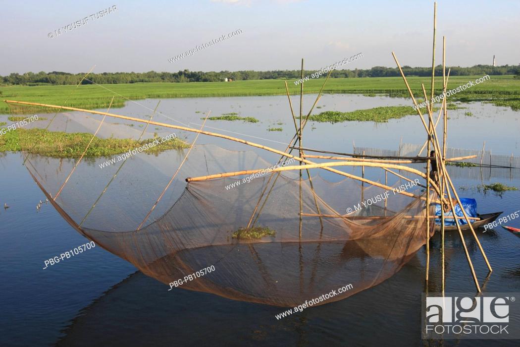 Stock Photo: Fishing in the flooded water Manikganj, Bangladesh September 2008.